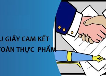 Mẫu giấy cam kết an toàn thực phẩm