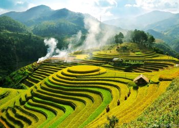 Mẫu phương án sử dụng đất năm 2022