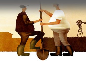 Phân biệt đất khai hoang và đất lấn chiếm như thế nào?