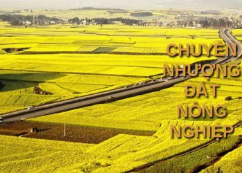 Năm 2022, chuyển nhượng đất nông nghiệp có phải đóng thuế không?