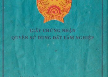 Sổ xanh có tách sổ được không?
