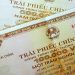 Trái phiếu được Chính phủ bảo lãnh là gì theo quy định năm 2022?
