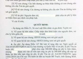 Bản án ly hôn với người bị tâm thần
