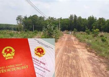 Chuyển nhượng một phần thửa đất