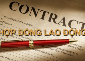 Công ty không ký hợp đồng chính thức