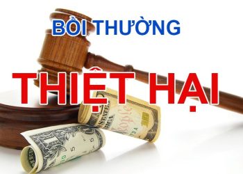 Đơn khởi kiện bồi thường thiệt hại ngoài hợp đồng