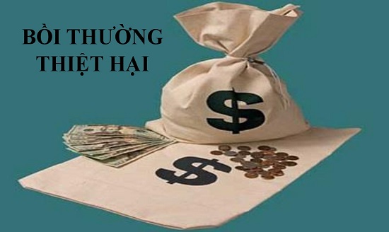 Đơn khởi kiện bồi thường thiệt hại ngoài hợp đồng