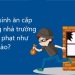 Học sinh ăn cắp trong nhà trường bị xử phạt như thế nào?