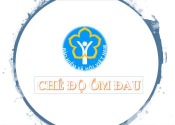 Hướng dẫn kê khai chế độ ốm đau điện tử EFY nhanh chóng năm 2022