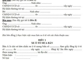 Mẫu hợp đồng mua bán xe ô tô mới nhất