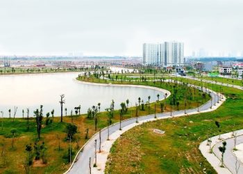 Phòng công chứng có biết đất bị quy hoạch không?