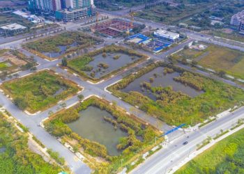 Thời hạn nộp tiền sử dụng đất trúng đấu giá là bao lâu?