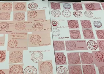 Tội làm giả con dấu tài liệu của cơ quan tổ chức