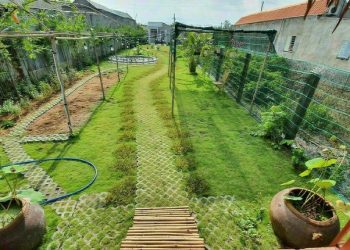 Đất vườn trong sổ đỏ là gì?