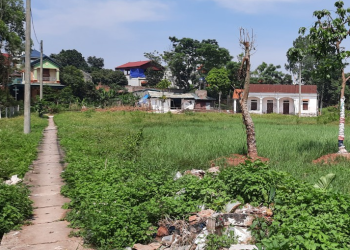 Thủ tục xác nhận lối đi chung như thế nào?