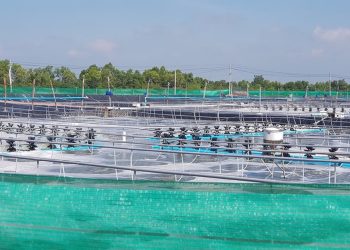 Giá đền bù đất nuôi trồng thủy sản thế nào?