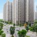 Giấy tờ pháp lý khi mua chung cư