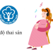 Hết hợp đồng trong thời gian nghỉ thai sản
