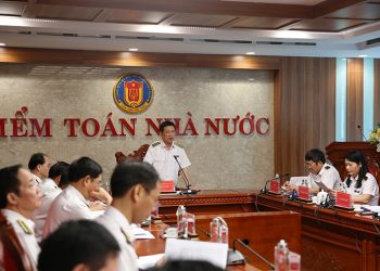 Kiểm toán nhà nước là gì