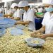 Mẫu hợp đồng thời vụ không đóng bảo hiểm