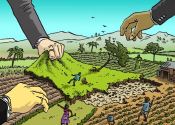 Tranh chấp đất không rõ nguồn gốc và trình tự giải quyết năm 2023