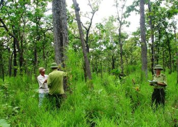 Giải quyết tranh chấp đất không có giấy tờ năm 2023