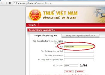 Không tra cứu được ngày cấp mã số thuế thì làm gì?