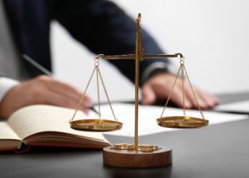 mau-don-phan-to-dan-su-2022