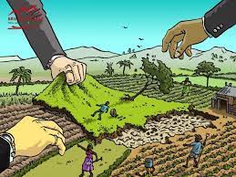 vai-tro-cua-giay-chung-nhan-quyen-su-dung-dat