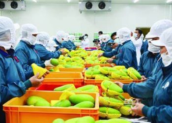 Giấy chứng nhận xuất xứ hàng hóa là gì