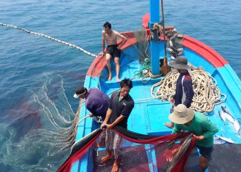 Khai thác thủy sản trên biển có cần xin phép không quy định 2023