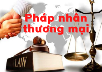 Khởi tố pháp nhân thương mại khi nào