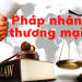 Pháp nhân thương mại phạm tội là gì
