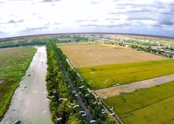 Tranh chấp đất chồng lấn xử lý như thế nào