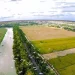 Tranh chấp đất chồng lấn xử lý như thế nào