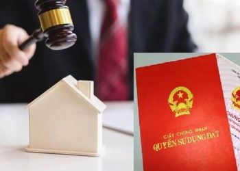 Mẫu xác nhận đất không tranh chấp chi tiết năm 2023