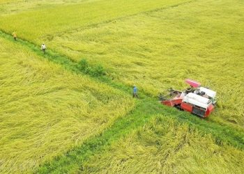 Cách tính thuế chuyển đổi đất nông nghiệp sang đất ở