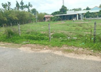 Đất vườn có được cấp sổ đỏ không
