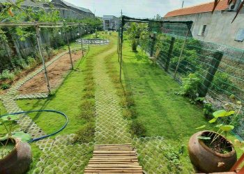 Hướng dẫn cách viết mẫu đơn xin chuyển đổi đất vườn sang đất ở