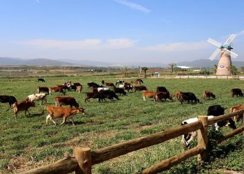 Mức giá đền bù đất trang trại năm 2023 là bao nhiêu?