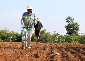 Thời hạn sử dụng đất khi chuyển mục đích sử dụng là bao lâu?