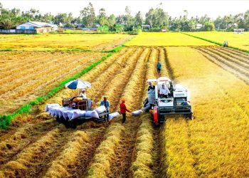 Thủ tục tách thửa đất nông nghiệp cho con năm 2023