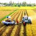 Thủ tục tách thửa đất nông nghiệp cho con năm 2023