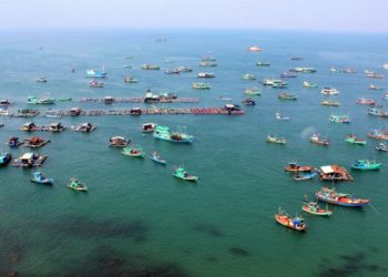 Trường hợp nào được xem là vi phạm sử dụng khu vực biển?