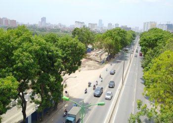 Đất cây xanh đô thị là gì theo quy định hiện hành?