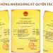 giấy chứng nhận đăng ký quyền tác giả
