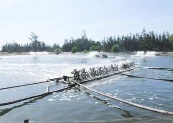 Thủ tục làm sổ đỏ đất nuôi trồng thủy sản như thế nào?