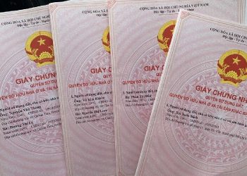 Trình tự, thủ tục cấp Giấy chứng nhận quyền sử dụng đất lần đầu năm 2023