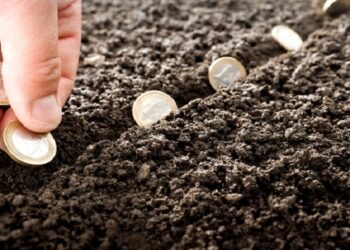 Căn cứ xác định sử dụng đất ổn định năm 2023