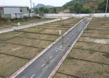 Đất dính quy hoạch có tách thửa được không?